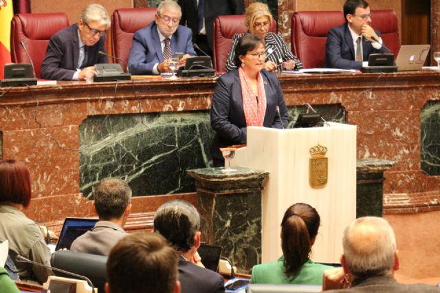 El Grupo Parlamentario Socialista saca adelante una moción para elaborar una Ley de Renta Garantizada que sustituirá a la actual Renta Básica de Inserción - 2, Foto 2