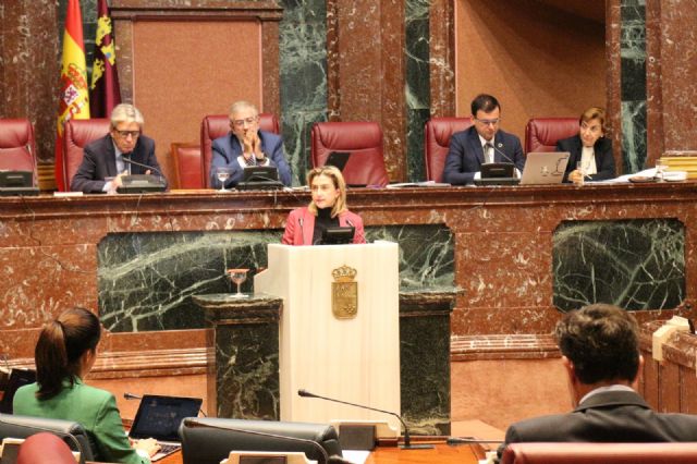 El Grupo Parlamentario Socialista critica el modelo turístico del PP porque consiste en dar bandazos durante 24 años y vivir de las ocurrencias - 2, Foto 2