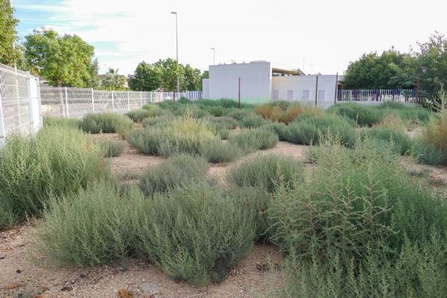 La Junta de Gobierno aprueba los proyectos del nuevo Cuartel de la Zona Norte y de la Asociación de Empresarios de Los Camachos - 1, Foto 1