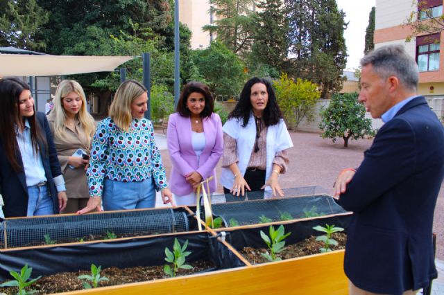 La mejora integral de la residencia Domingo Sastre, que cuenta con una inversión de 4 millones de euros, alcanza su primer hito con la remodelación de sus zonas verdes - 4, Foto 4