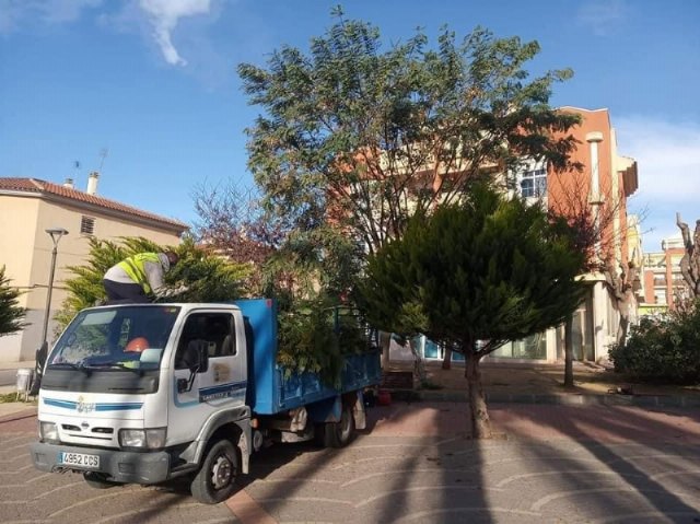 Adjudican el contrato para acometer el plan de choque de trabajos de podas y mejoras de jardinería en los parques y zonas verdes de Totana, Foto 1