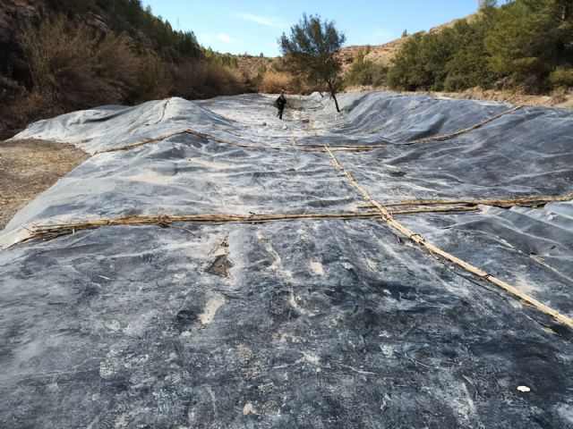 ANSE y la CHS refuerzan su colaboración para la mejora de los ecosistemas riparios - 1, Foto 1