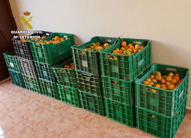 La Guardia Civil esclarece la sustracción de seis toneladas de fruta con dos detenidos - 2, Foto 2