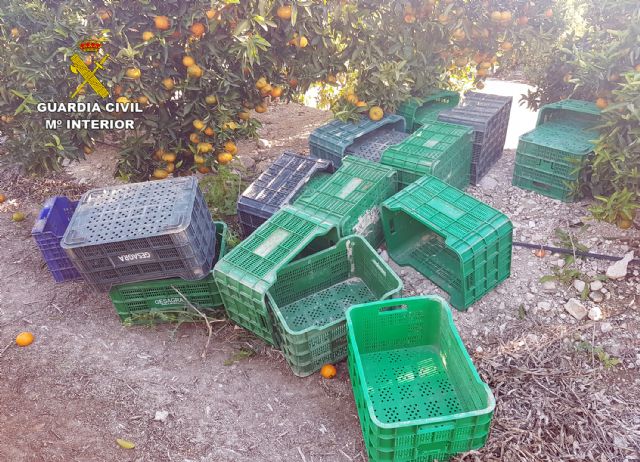 La Guardia Civil esclarece la sustracción de seis toneladas de fruta con dos detenidos - 4, Foto 4