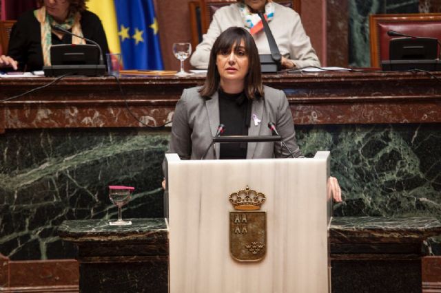 La Asamblea Regional pide implantar un sistema de gestión procesal común en todo el territorio nacional - 1, Foto 1