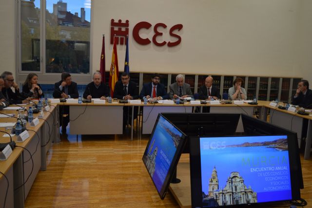 Los Consejos Económicos y Sociales autonómicos analizan en Murcia los retos a los que se enfrentan - 3, Foto 3