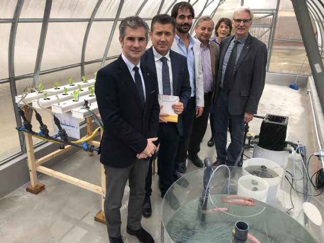 La Comunidad trabaja en ofrecer alternativas sostenibles para producir vegetales y peces - 1, Foto 1