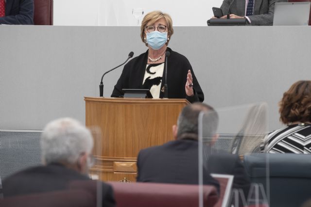 La Asamblea exige al Gobierno de España un Plan contudente de Rescate al Comercio - 1, Foto 1