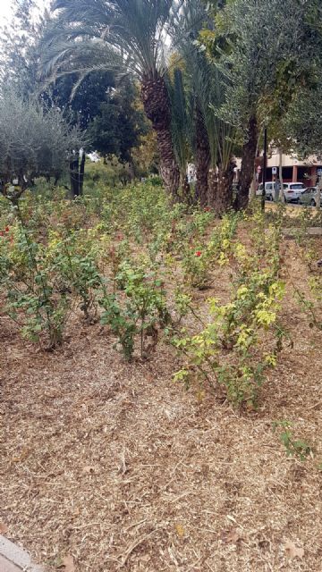 Jardines del municipio reciben 800 toneladas de triturado de poda en sus zonas verdes para mantener el ´ciclo verde´ - 1, Foto 1