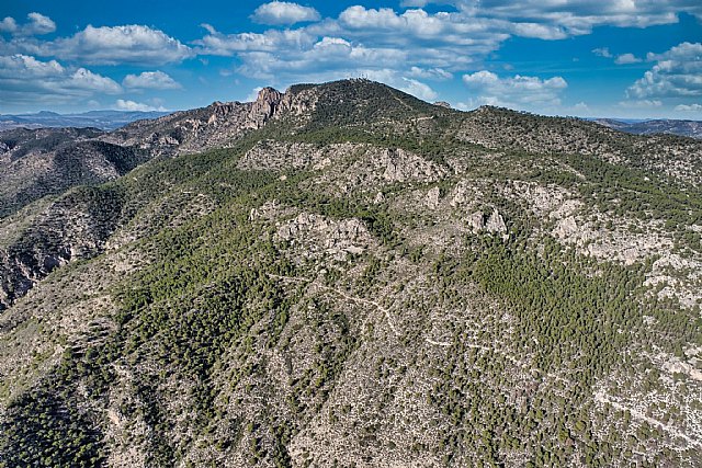 La Comunidad concluye la planificación de la gestión forestal sostenible de 17.140 hectáreas de los montes públicos de la Región, Foto 1