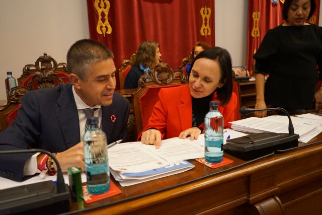 Isabel García (MC) propone al Gobierno local licitar el contrato de alumbrado navideño antes del verano - 1, Foto 1