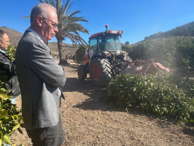 El convenio para triturar podas de pequeños agricultores permite gestionar 890 toneladas de restos vegetales - 2, Foto 2