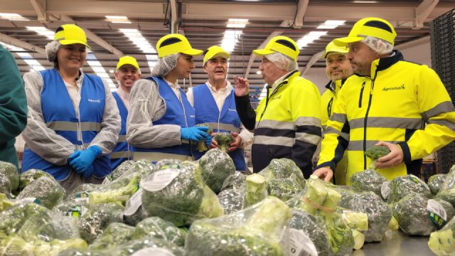 La Región de Murcia lidera las exportaciones de coliflor y con el 68 por ciento del total nacional - 1, Foto 1