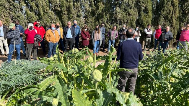 X jornada técnica sobre el cultivo de la alcachofa - 1, Foto 1