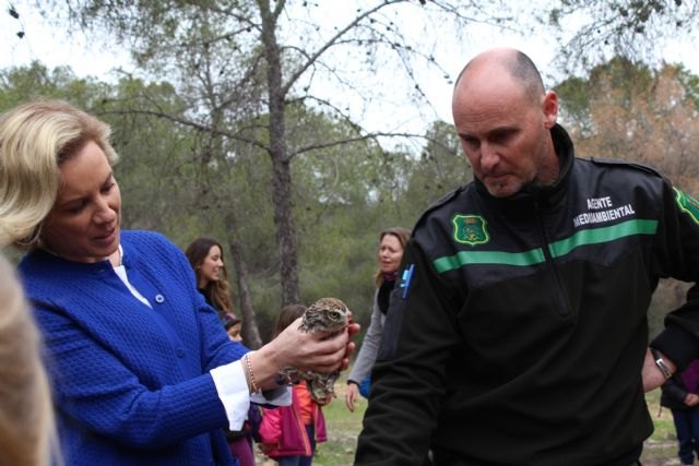 El Centro de Recuperación de Fauna Silvestre de El Valle registró el pasado año 2.510 ingresos de diferentes especies - 1, Foto 1