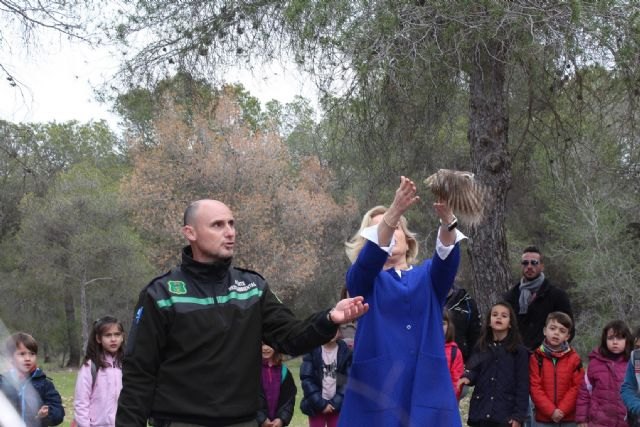 El Centro de Recuperación de Fauna Silvestre de El Valle registró el pasado año 2.510 ingresos de diferentes especies - 2, Foto 2