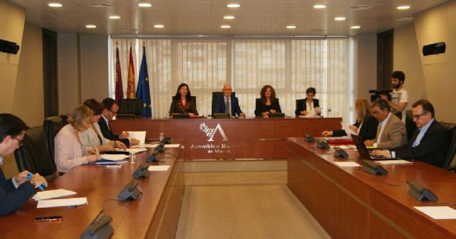 El PSOE acusa al PP de dejar dormir en los cajones los proyectos en materia sanitaria aprobados en la Asamblea - 2, Foto 2