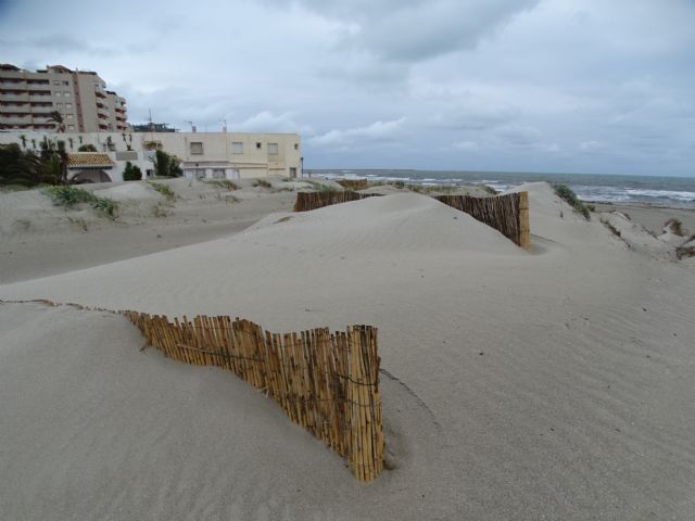 ANSE denuncia daños en los sistemas dunares de La Manga por la extracción de arenas para alimentar playas” - 2, Foto 2