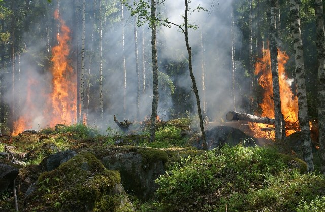 Sofocar incendios será una tarea cada vez más difícil - 1, Foto 1