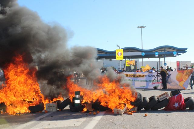 Unión de Uniones denuncia que el puerto de Cartagena mantiene las bonificaciones a los cítricos importados en medio de una grave crisis del sector limonero - 1, Foto 1