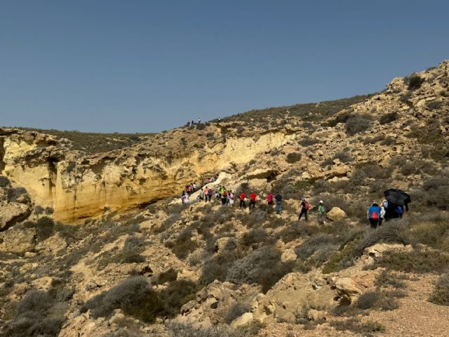 Éxito rotundo de la 30ª edición de los Encuentros Deportivos de la Mujer con la participación de más de un millar de personas - 3, Foto 3