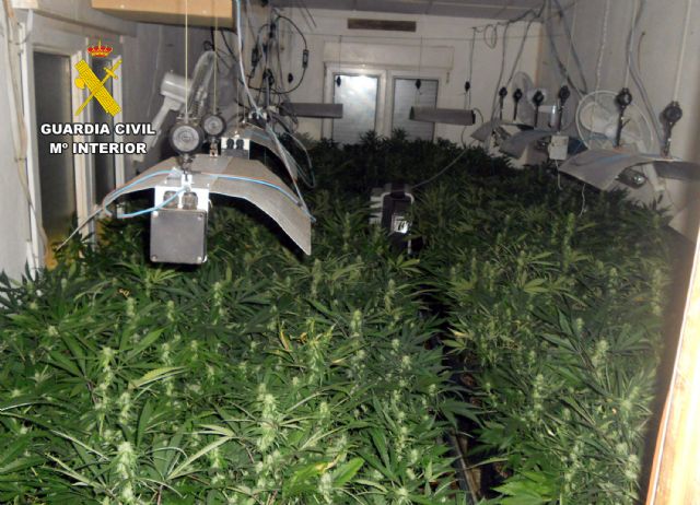 La Guardia Civil desmantela un grupo delictivo que cultivaba y distribuía gran cantidad de marihuana - 1, Foto 1