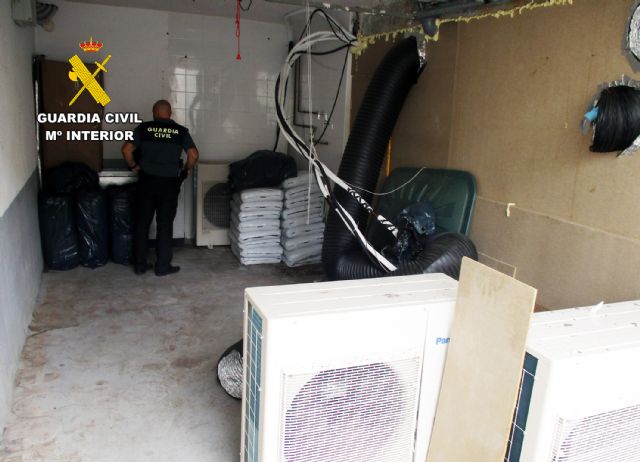 La Guardia Civil desmantela un grupo delictivo que cultivaba y distribuía gran cantidad de marihuana - 5, Foto 5