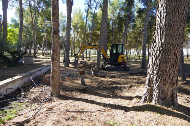 Comienzan las obras de remodelación en el Jardín Botánico de La Estacada - 4, Foto 4