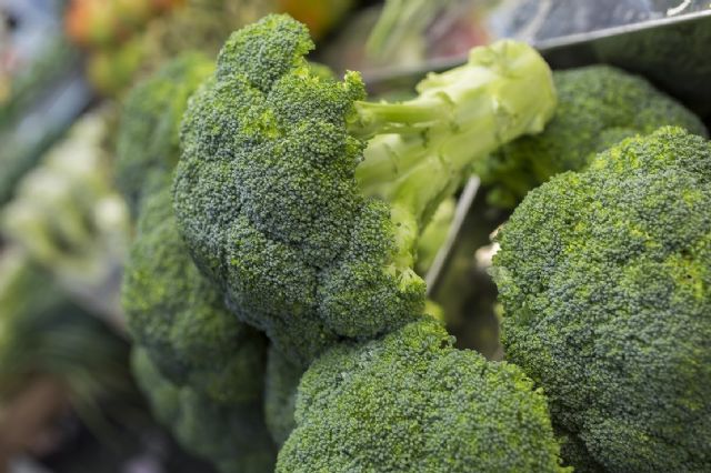 Las hectáreas dedicadas al cultivo de brócoli crecen cerca de un 3% este verano - 1, Foto 1