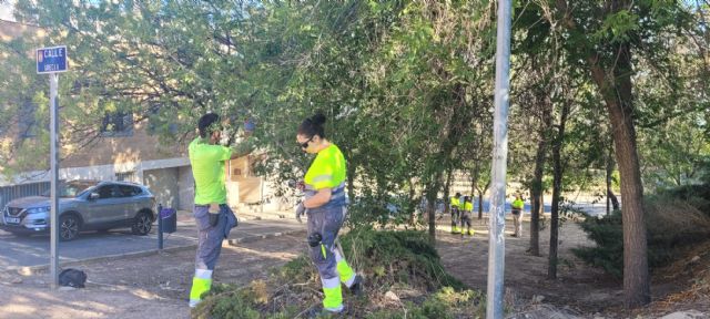 El alumnado del PMEF de Jardinería comienza la parte laboral de su formación - 1, Foto 1