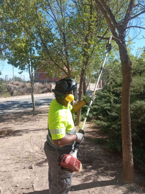 El alumnado del PMEF de Jardinería comienza la parte laboral de su formación - 3, Foto 3