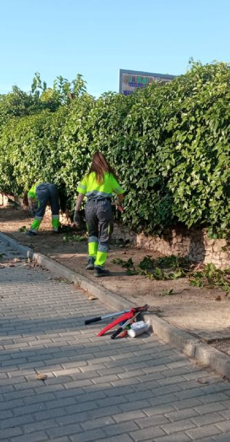 El alumnado del PMEF de Jardinería comienza la parte laboral de su formación - 4, Foto 4