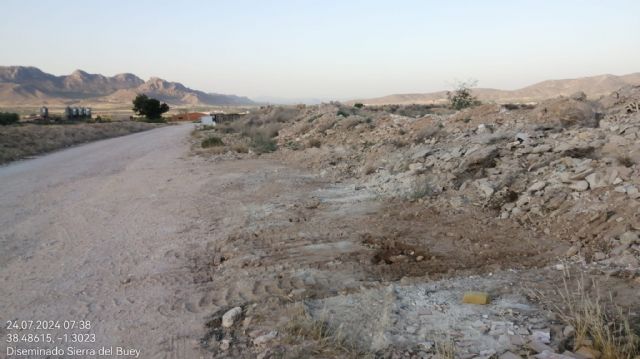 El Ayuntamiento comienza con la limpieza de vertederos no controlados en zonas municipales - 3, Foto 3