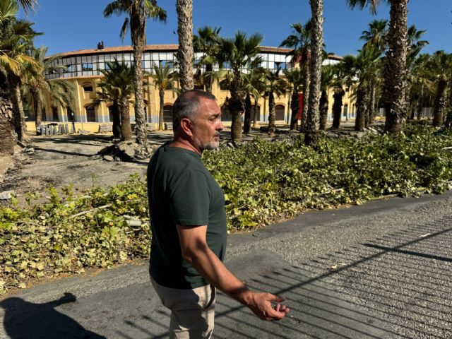 El Ayuntamiento denuncia la falta de sensibilidad del Gobierno de España a la hora de trasplantar 300 árboles afectados por las obras del soterramiento del AVE - 5, Foto 5