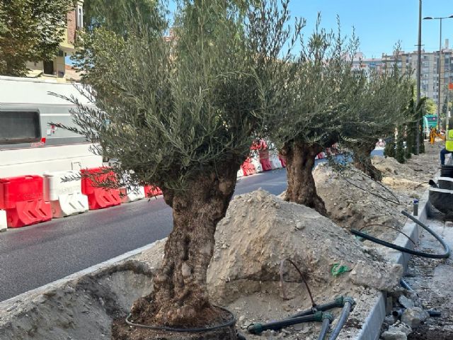 Ballesta simbolizará las Tres Culturas que dan origen a Murcia en los nuevos accesos a la ciudad por Ronda Norte y Primo de Rivera - 3, Foto 3