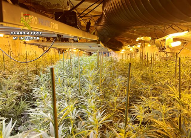 La Guardia Civil desmantela un punto de cultivo y elaboración de droga con cerca de 2.500 plantas de marihuana en una casa cueva - 1, Foto 1