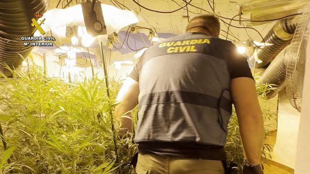 La Guardia Civil desmantela un punto de cultivo y elaboración de droga con cerca de 2.500 plantas de marihuana en una casa cueva - 4, Foto 4