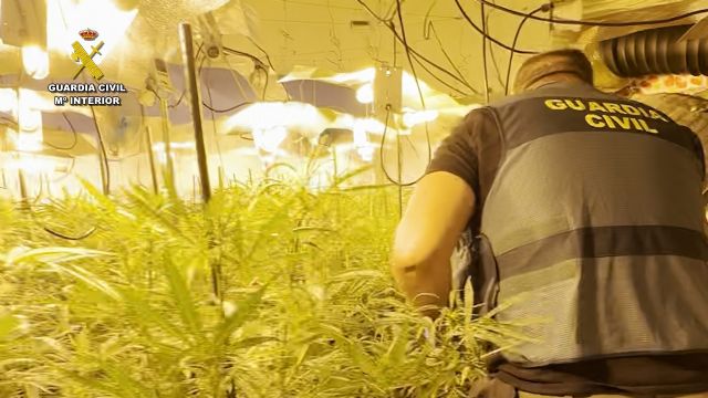 La Guardia Civil desmantela un punto de cultivo y elaboración de droga con cerca de 2.500 plantas de marihuana en una casa cueva - 5, Foto 5