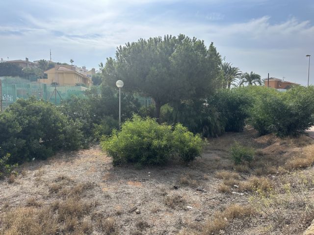 Las pistas deportivas de Cala Flores, un nido de ratas e insalubridad - 3, Foto 3