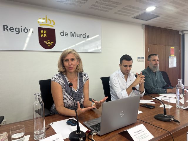 La Federación de Municipios acoge una jornada informativa sobre los programas europeos URBACT y EUI a nivel nacional - 1, Foto 1