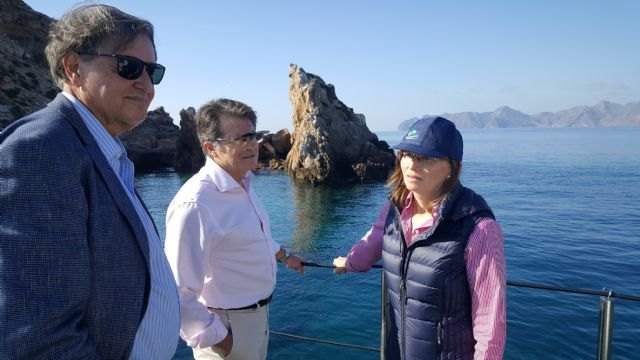 La Comunidad delimita la Reserva Marina de Cabo Tiñoso para compatibilizar su protección y conservación con la pesca artesanal - 2, Foto 2