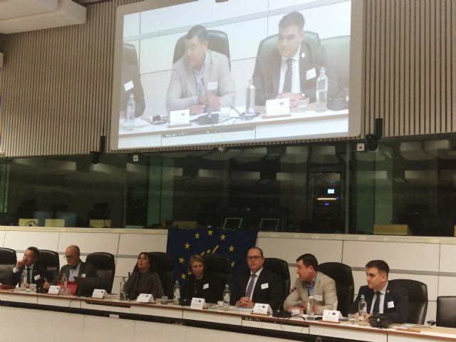 Molina de Segura presenta en Bruselas su proyecto LIFE en el Comité Europeo de las Regiones - 1, Foto 1