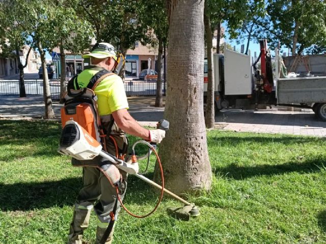 El Plan Recupera realiza más de 1.200 actuaciones en los parques y jardines de Alquerías - 4, Foto 4