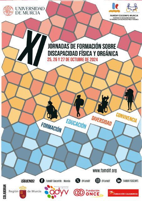 XI Jornadas de Formación sobre Discapacidad Física y Orgánica - 1, Foto 1