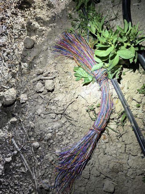 La Policía Local de Lorca detiene a dos personas implicadas en un robo de cable gracias a una rápida coordinación operativa - 2, Foto 2