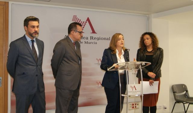 El PSOE exige al Gobierno regional que localice a las cerca de 500 familias numerosas castigadas por la errónea interpretación de la Ley y les repare el daño ocasionado - 1, Foto 1