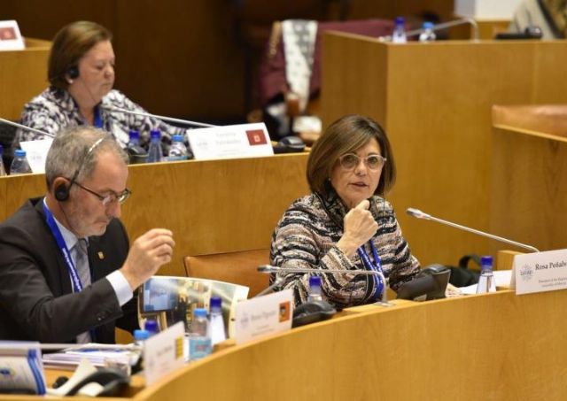 La Asamblea continuará coordinando el Grupo de Igualdad de Género de los Parlamentos europeos, para el que consigue el carácter de Permanente por unanimidad - 2, Foto 2