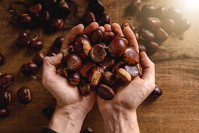 Las castañas, mucho más que un alimento saludable - 1, Foto 1