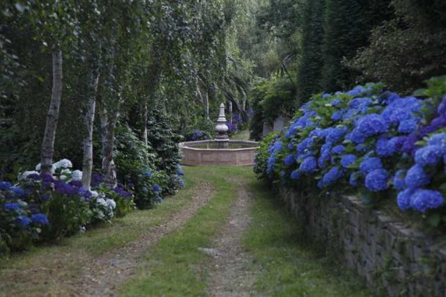 Los jardines también son para el invierno - 2, Foto 2