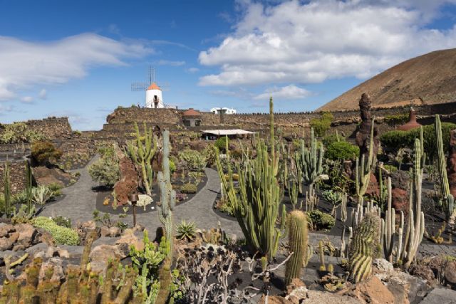 Los jardines también son para el invierno - 3, Foto 3